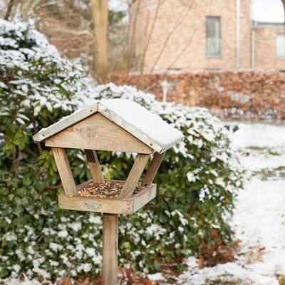 Wooden Bird Feeder On a Leg