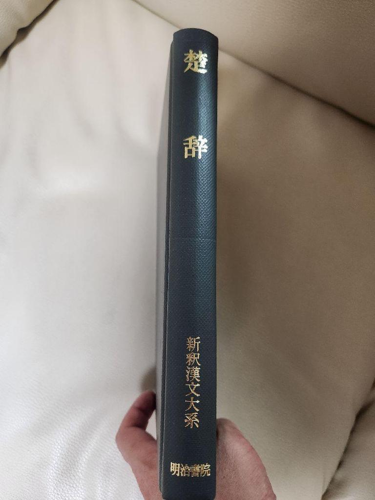 [USED] Chuji New Culture Library 34 Hoshikawa Kiyotaka Meiji Shoin