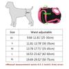 Hundewindeln für Hündinnen, waschbar, superabsorbierend, für bequeme Hygienehosen