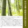 Kochosai Kosuga Kitchen Tongs Tongs, Medium, 17.5cm, Bamboo, Antibacterial, Serving, Pasta, Ice, Salad, Serving, Condiments, Cooking,