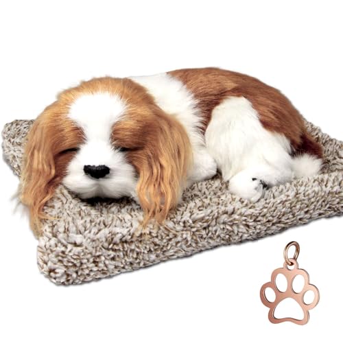 

TATOTTE Dog Stuffed Animal - Realistic Sleeping Dog Figurine with Activated Charcoal - Relaxing Interior Decor - Comes with Mini Paw Print Charm (Cava