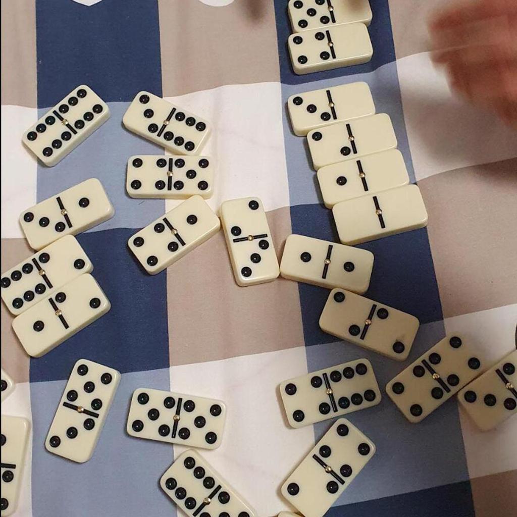 Double Six Domino Set Fun and Engaging Table Game Classic Board for Traveling