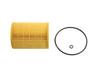 Ft38101 Fast Oil Filter Insert