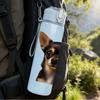 1PC Short Hair Chihuahua Dog 750ml Color Plastic Sports Water Bottle Leakproof Flip Straw Lid Suitable for Sports Office Home Use