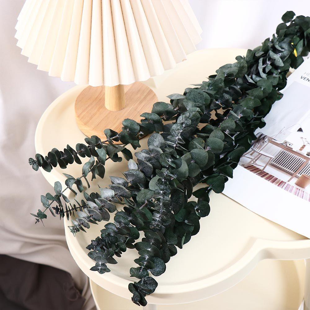 10 Pcs Real Leaves Hanging Dried Eucalyptus Large Green Artificial Plants Flowers Made From Fresh Eucalyptus Multi-Purpose
