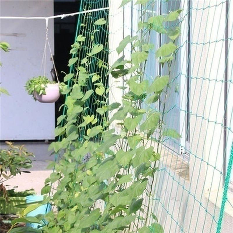 1PC Garden Green Vegetable Plant Trellis Netting Support Nets Bean  Climbing Grow Fence