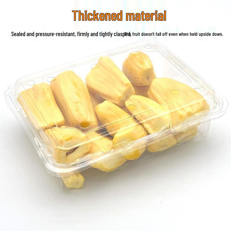 Chixing Disposable Clear Plastic Fruit Packaging Container with Lid
