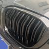 Capac Placă radiator față cu plasă anti-insecte cu bară dublă pentru BMW X3/X4 2017-20
