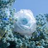 Uflower Artificial Flower Wall Roll-Up Blue Fabric Floral Backdrop for Wedding Event Party Decorations Curtain