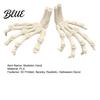 Creepy Gothic Room Accents Halloween Skeleton Hands 3D Printed Hand Bones Model Realistic Creative Holiday Atmosphere Decor Spooky Bone Claw