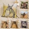 Federa Cuscino Animale Rock Hyrax Carino Anime Lino Naturale Stampa Double-Sided Divano Decorazione Casa Federa