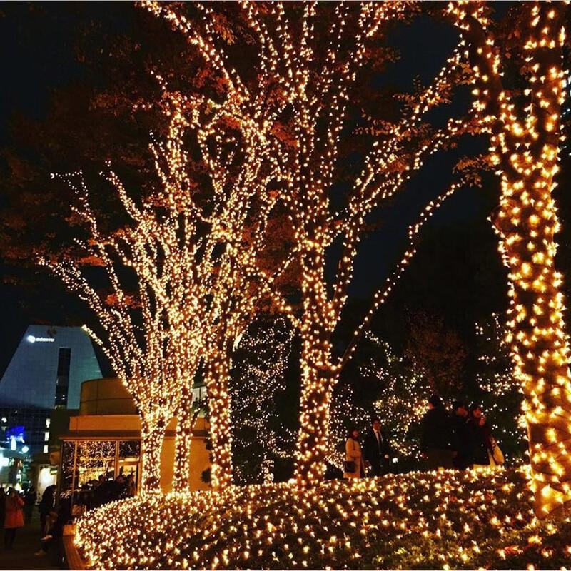 OEING LED String Lights