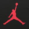 Jordan Jumpman T-Shirts Herren Schwarz Rundhals Mäßig Gerader Schnitt DA6797-010