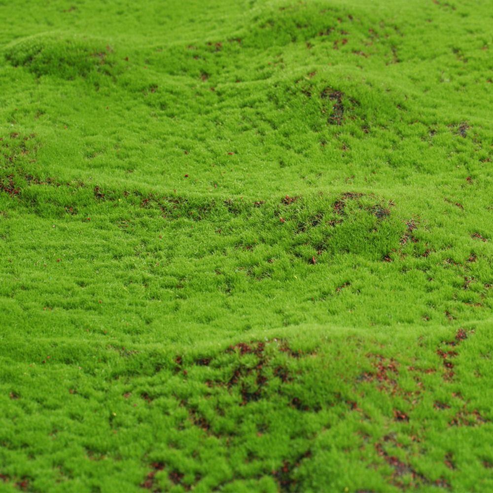 DIY Fake Moss Grass Turf Eternal Life Lifelike Artificial Moss Carpet No Watering Durable Fake Green Grass Mat Living Room