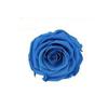 P-1  21 Preserved Roses in a Box Wedding Decor Floral Arrangements Wedding Dried Flower Home Decor Baby Shower Flowers 2~3cm