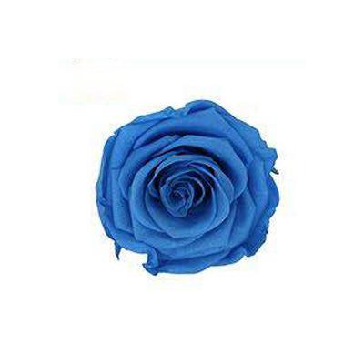 P-1 21 Preserved Roses in a Box Wedding Decor Floral Arrangements Wedding Dried Flower Home Decor Baby Shower Flowers 2~3cm