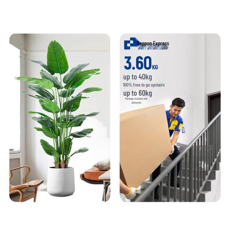 High-End Indoor Bird of Paradise Decor: Luxury Potted Traveler's Palm