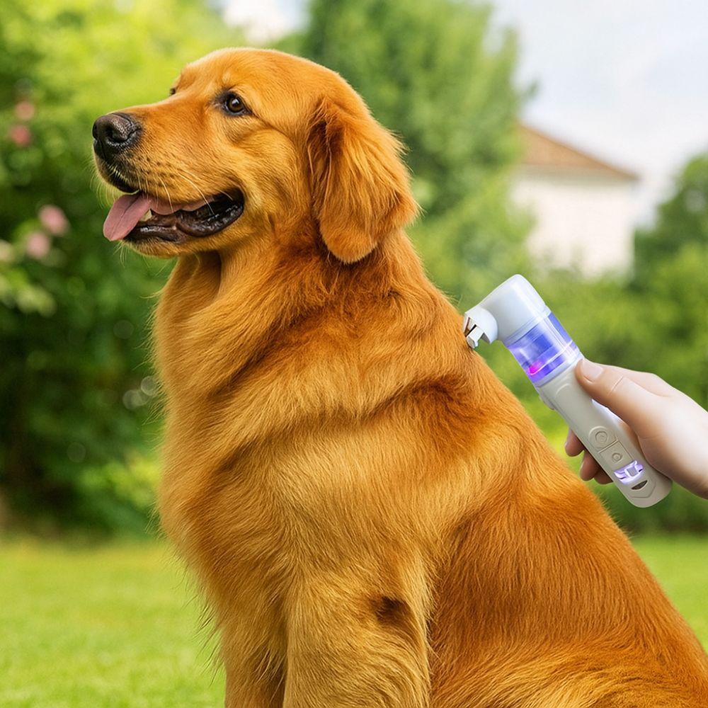 USB Rechargeable Dog Hair Clippers 2-In-1 Pet Grooming Clipper Electric Pet Lice Remover  Home Use