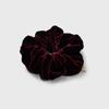 Jean Paul Clarisse Classic Velvet Scrunchie JP-21-017S