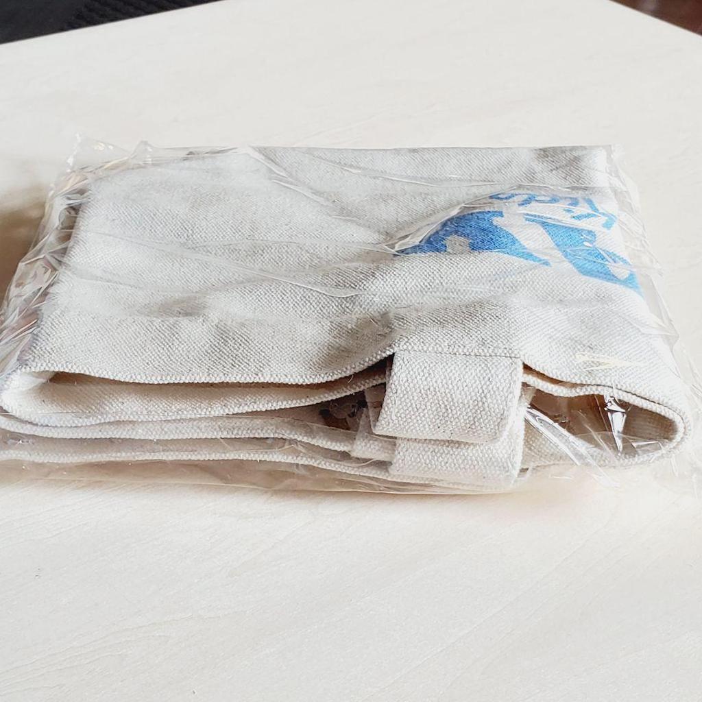 [USED] Super Rare Stray Kids Skiz Korea FC STAY 2nd Season Tote Bag