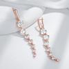 Sparkling White Natural Zircon Long Dangle Earrings For Women Fashion  Rose Gold Color Party Accessories Daily Jewelry