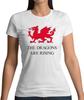Red Dragon Graphic The Dragons Are Rising T-shirt