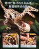 ROKR 3D Wooden Dinosaur Tyrannosaurus Spring Assembly DIY Creative Interior Home Living Gift For Kids and Adult Educational Gift for Jurassic Dinosaur