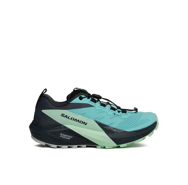 

Кроссовки для бега Salomon Sense Ride 5 Gore-Tex EU 38