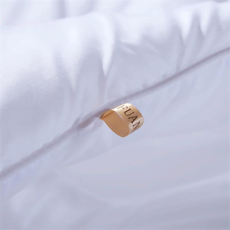 Fuanna Yixiang Warm Core Winter Quilt