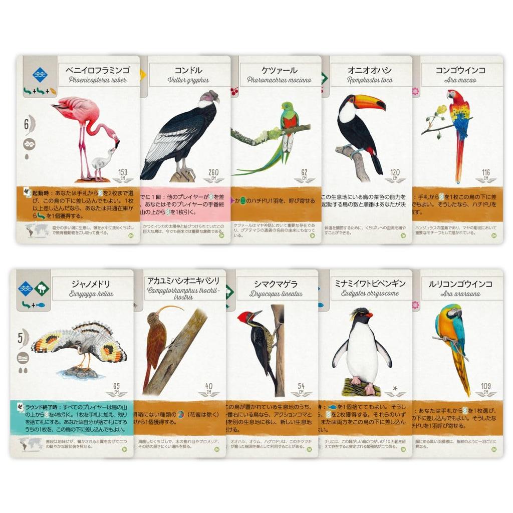 Arclight Wingspan Wings of Central and South America ages Board Game Expansion Set Expansion (1-5 players, 40-70 minutes, 10+)