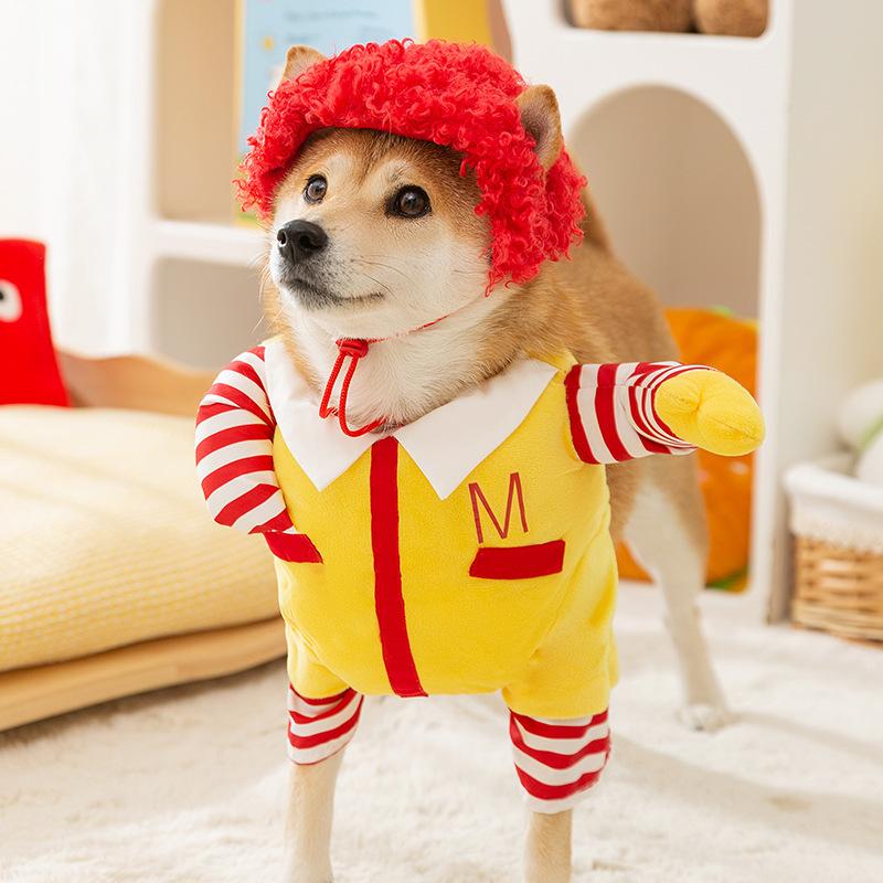 Funny Dog Clothes Hello Two Feet Medium and Large Dog Transformation Clothing Autumn and Winter Warm Teddy Bear Pet Clothing