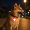 Illuminated Canine Collar Attachment With Hanging Strap, LED Identifier for Supervised Evening Walks and Outdoor Use