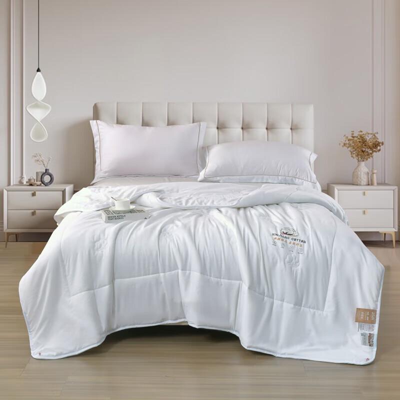 

Purple Charm Xinjiang Cotton Quilt