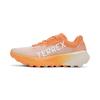 New Terrex Agravic 3 Trail Amber Tint Crystal White Putty Mauve Women's IG6582