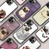 Telefon kapları – Smartphone Bumper Kılıflar