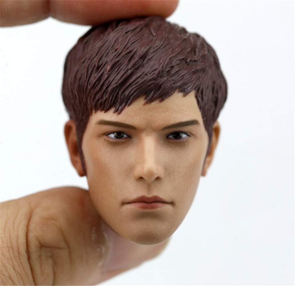 

HiPlay Scale Figure Doll Compatible with TBLeague HS040 1/6 Head, Male, European/Asian, Handsome, Pre-painted, Bodies, (D)