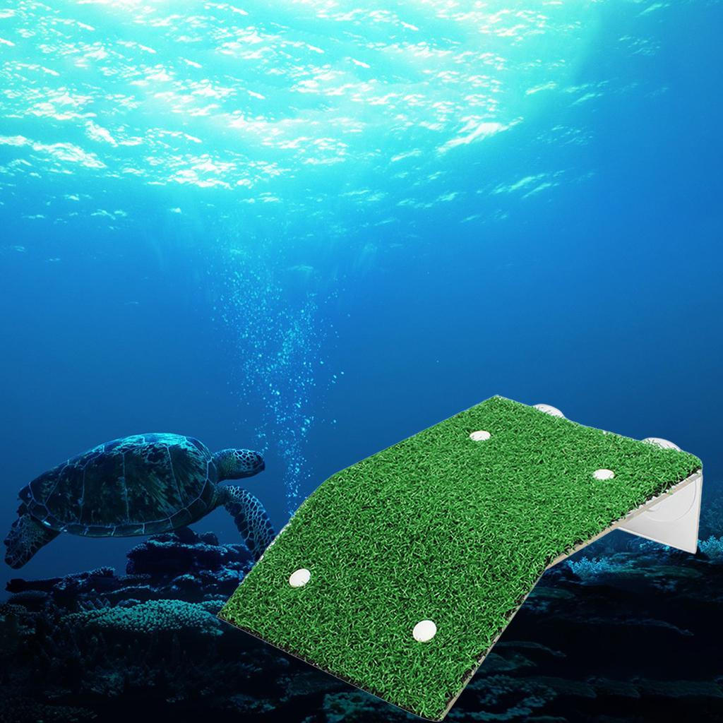 

Basking Platform, Tortoise Ramp Reptile Resting Terrace, Ladder 11.5x12x4cm