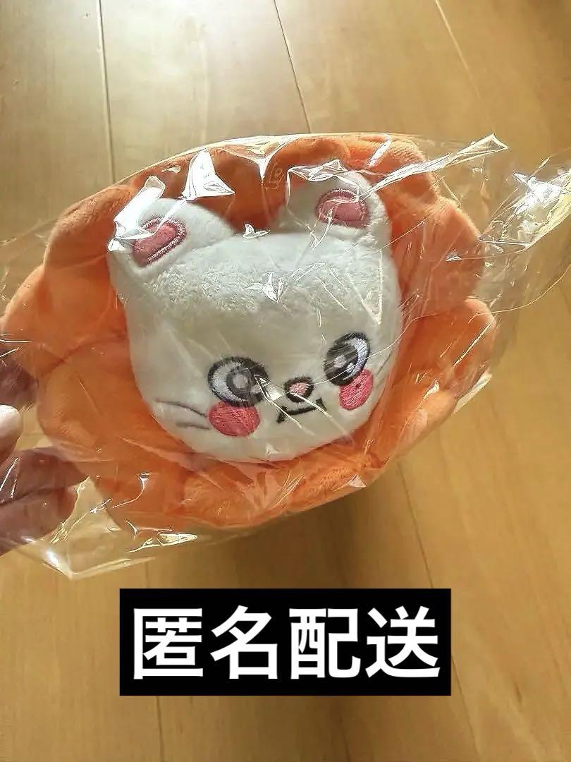 

[USED] Stray Kids SKZOO pencil case Genielet pop up