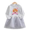 Paw Patrol Girls' Long Sleeve Princess Mesh Dress - Stylish Spring/Autumn Skirt for Kids