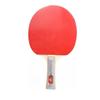 Boli Portable Table Tennis Set