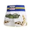 Muay Thai UFC Sanda Summer Training Boxing Shorts - MMA Fight Gear