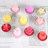 New simulation succulent plant candles, rose candles, 44 product combinations, and special-shaped paraffin candles