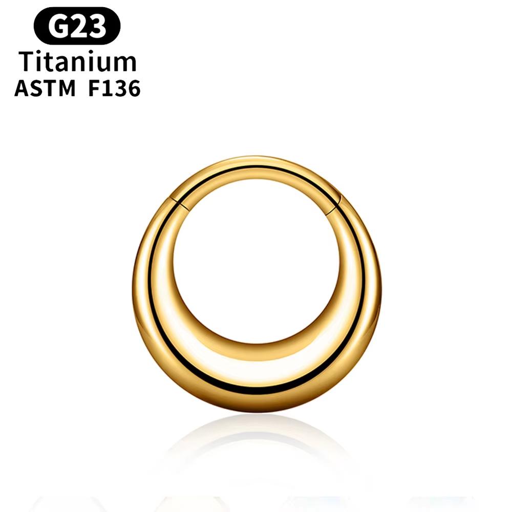 ASTM F136 Titanium Anodizing 16G Septum Hoop Ring Hinged Segment Nose Clicker Tragus Helix Daith Earring Piercing Zircon