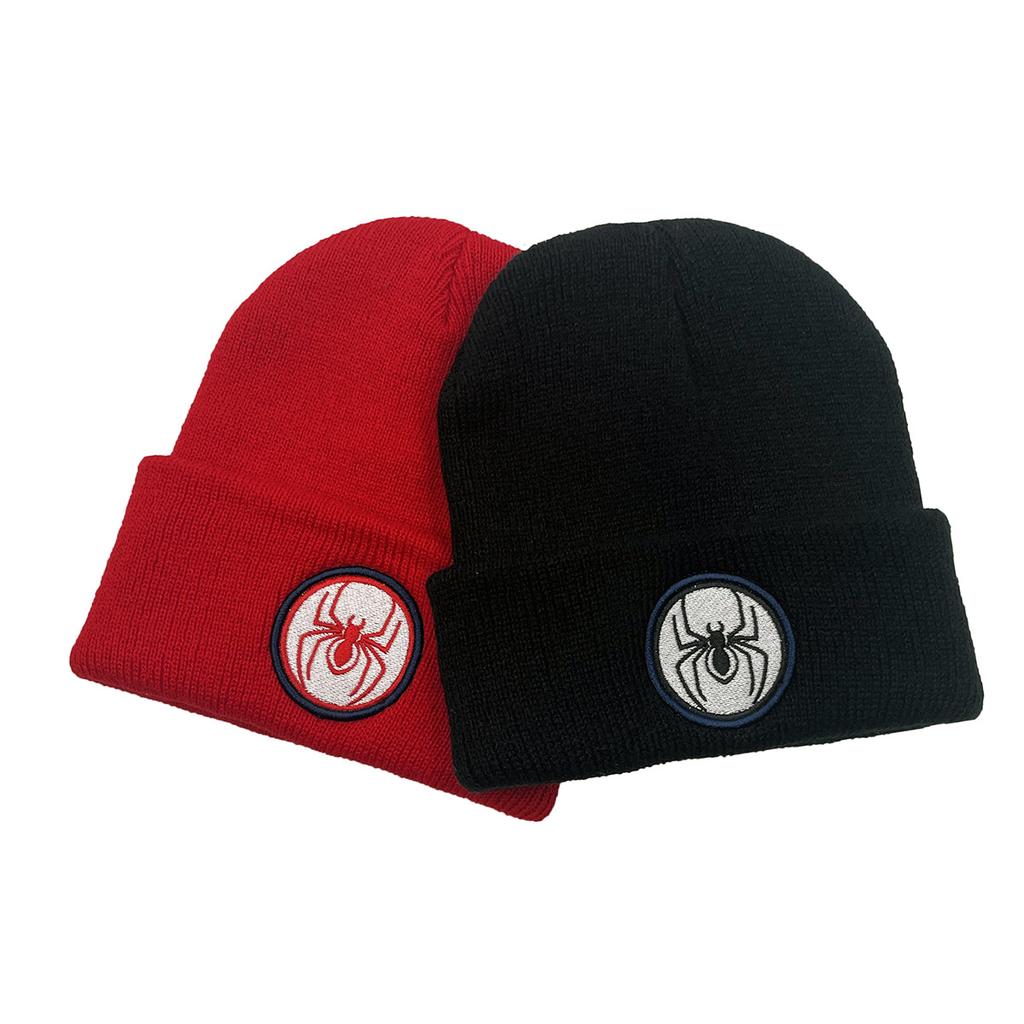 Spider Embroidery Personalized Wool Knitted Hat Student Outdoor Men'S And Women'S Autumn And Winter Warm Hat