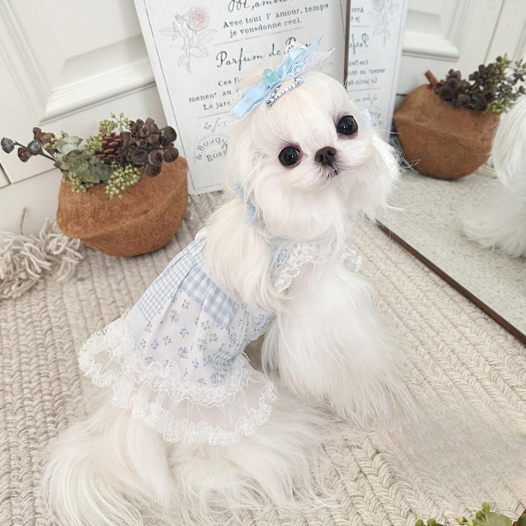 Pet Spring/Summer Thin Flying Sleeve Strap Love Lace Mesh Splicing Skirt Dog Dresses for Small Dogs Puppy Clothes