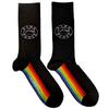 Pink Floyd Unisex Adult Spectrum Ankle Socks
