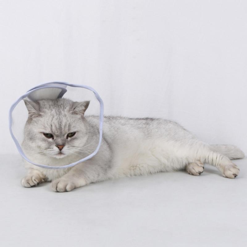Transparent Recovery Collar for Dogs After Surgery Stop Licking Cone Collar