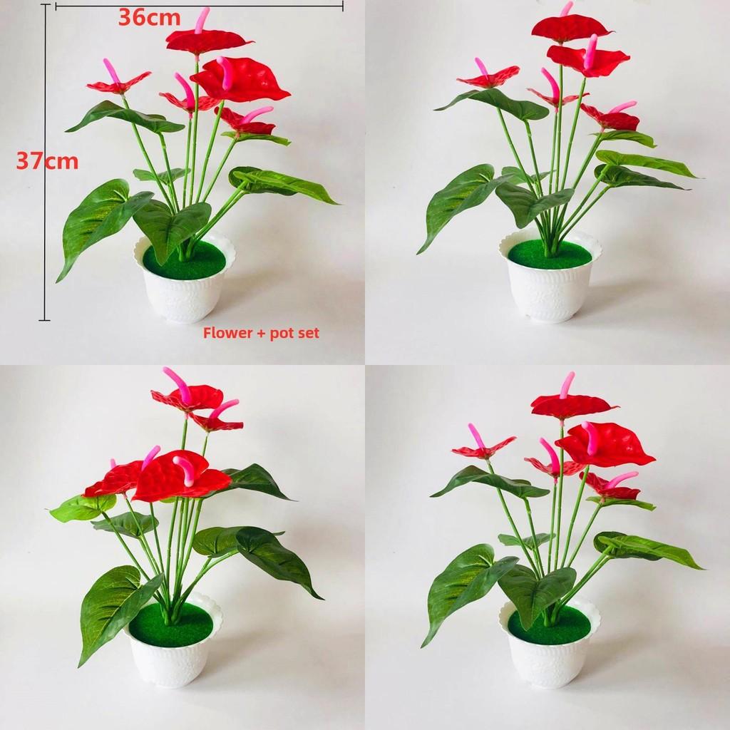 Red Artificial Anthurium Potted Flower For Outdoor Events Interior Decoration
