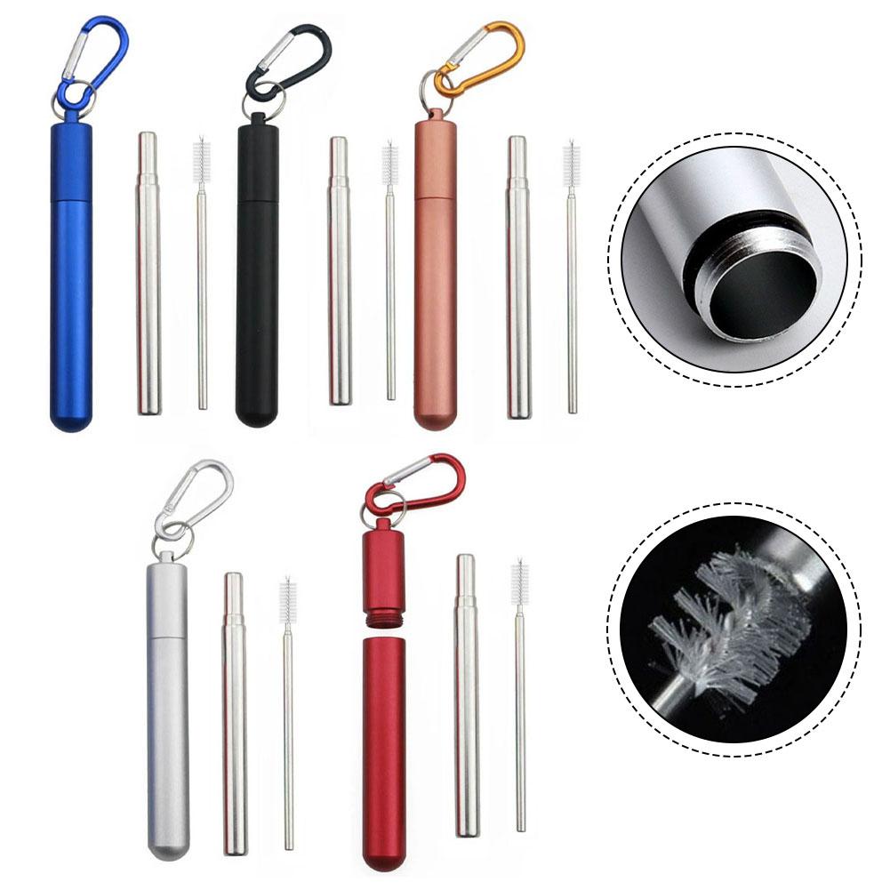 Collapsible Straw Set with Silicone Tips and Carabiner Hook