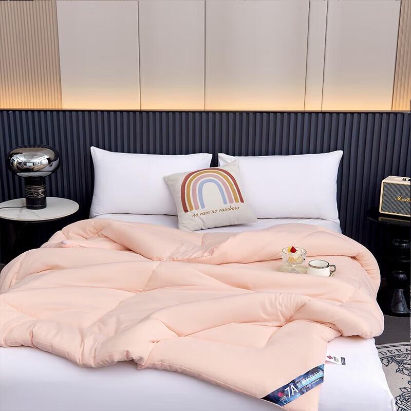 Jieliya Cloud Feel Antibacterial Warm Core Winter Quilt